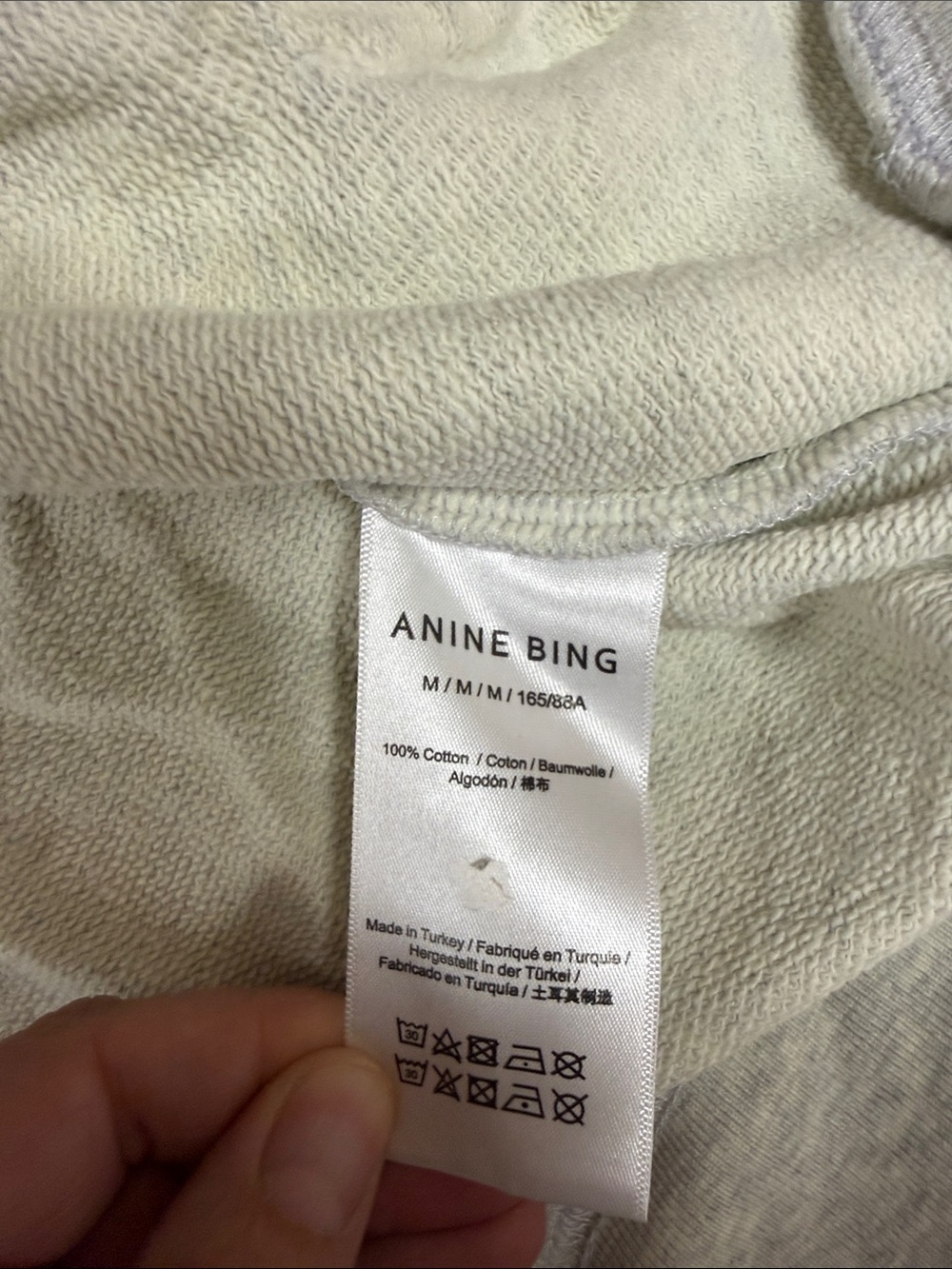 EUC Anine Bing Harvey Hoodie with Script Logo - Picture 4 of 4